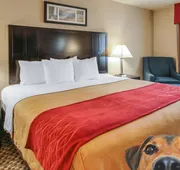 Comfort Inn Troutdale - Portland East hotel detail image 3