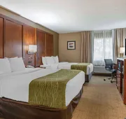 Comfort Inn Romeoville - Bolingbrook hotel detail image 5