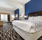 La Quinta Inn & Suites by Wyndham Alvin hotel detail image 7