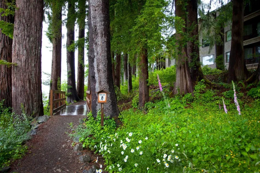 Lake Quinault Lodge hotel detail image 6