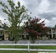 Econo Lodge Monticello hotel detail image 7