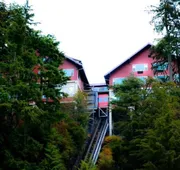 Cape Fox Lodge hotel detail image 3