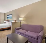 Comfort Suites Knoxville East hotel detail image 4