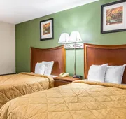 Quality Inn Homewood hotel detail image 4