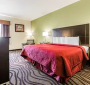 Quality Inn & Suites North Montgomery hotel detail image 7