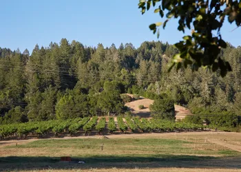 Mine + Farm, The Inn at Guerneville, CA hotel thumbnail 3