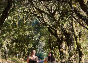 Mine + Farm, The Inn at Guerneville, CA hotel thumbnail 6