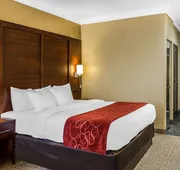 Comfort Suites San Jose Airport hotel detail image 5