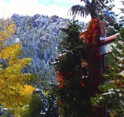 Tyrolean Lodge hotel detail image 3