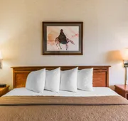 Quality Inn & Suites Montrose - Black Canyon Area hotel detail image 4