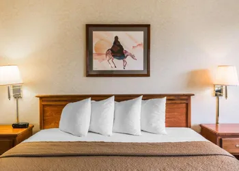 Quality Inn & Suites Montrose - Black Canyon Area hotel thumbnail 4