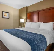 Comfort Inn Ocala Silver Springs hotel detail image 7