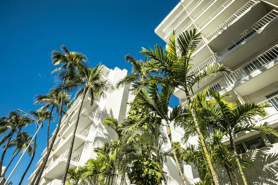 Oasis Hotel Waikiki hotel detail image 2