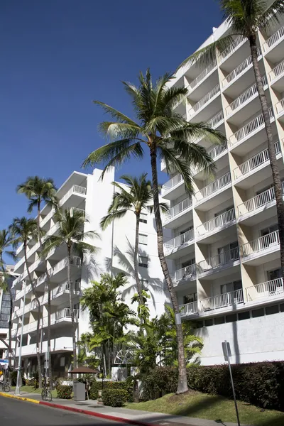 Oasis Hotel Waikiki hotel detail image 6
