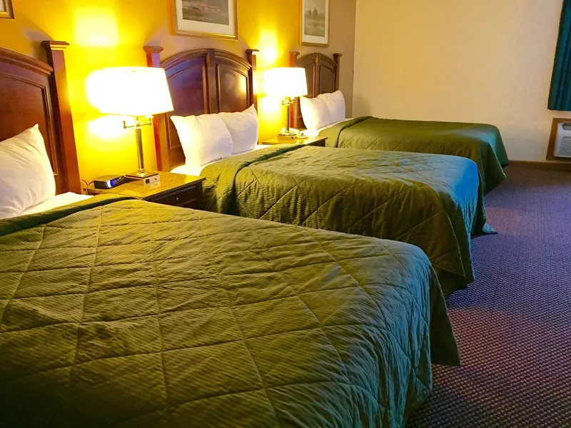 Executive Inn and Suites hotel detail image 6