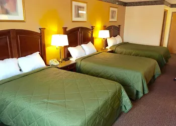 Executive Inn and Suites hotel thumbnail 8