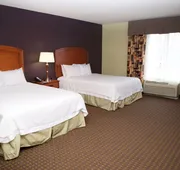 Hampton Inn & Suites Moline-Quad City Int'l Aprt hotel detail image 5