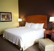 Hampton Inn & Suites Moline-Quad City Int'l Aprt hotel detail image 7