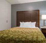 Econo Lodge Shelbyville North hotel detail image 4