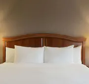 DoubleTree by Hilton Detroit Novi hotel detail image 5