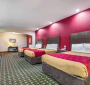 Econo Lodge Inn & Suites Horn Lake - Southhaven hotel detail image 7