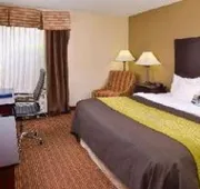 Holiday Inn Express & Suites Joplin Southeast hotel detail image 4
