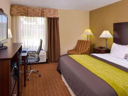 Holiday Inn Express & Suites Joplin Southeast hotel detail image 6