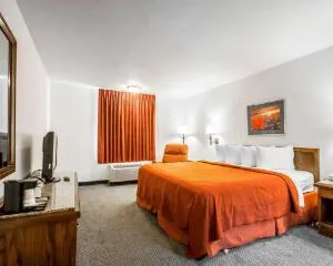 Quality Inn & Suites North Springfield hotel thumbnail 4