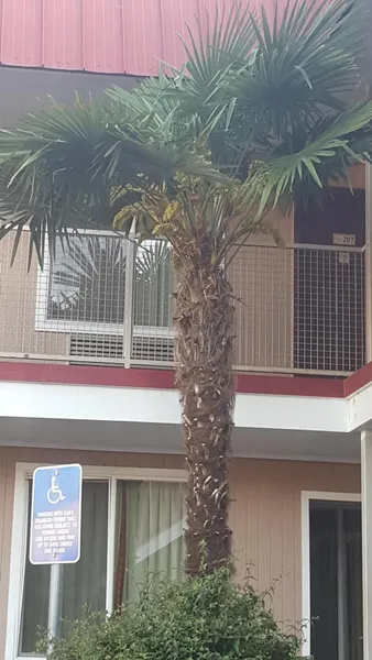 Express Inn & Suites hotel detail image 6