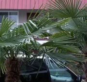 Express Inn & Suites hotel detail image 7