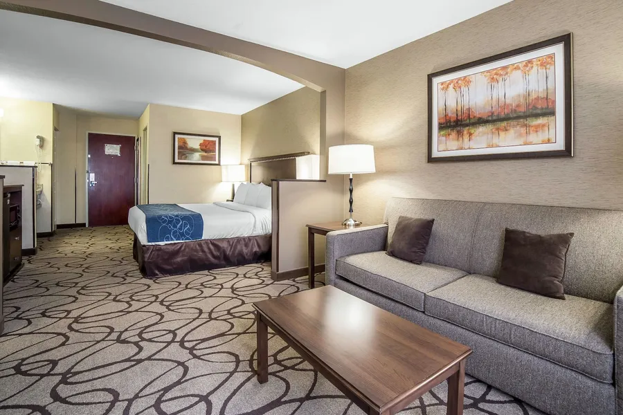 Comfort Suites Salt Lake City Airport hotel detail image 6