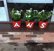 ANS Inn & Suites hotel detail image 4