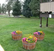 Branding Iron Motel hotel detail image 3