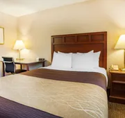 Quality Inn Kirkland hotel detail image 3