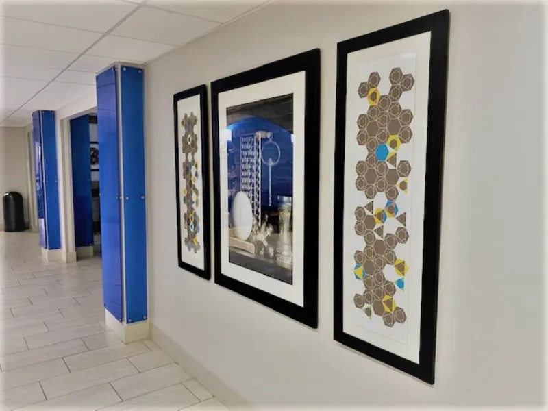 HOLIDAY INN EXPRESS & SUITES REIDSVILLE by IHG hotel detail image 6