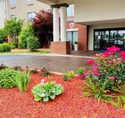 HOLIDAY INN EXPRESS & SUITES REIDSVILLE by IHG hotel detail image 7