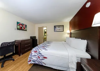 Red Roof Inn Ft. Myers hotel thumbnail 5