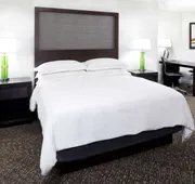 Hilton Minneapolis-St. Paul Airport hotel detail image 7