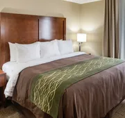 Comfort Inn & Suites West - Medical Center hotel detail image 3