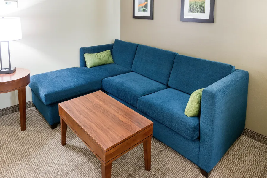 Comfort Inn & Suites West - Medical Center hotel detail image 6