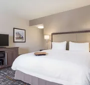 Hampton Inn & Suites West Des Moines/SW Mall Area hotel detail image 7