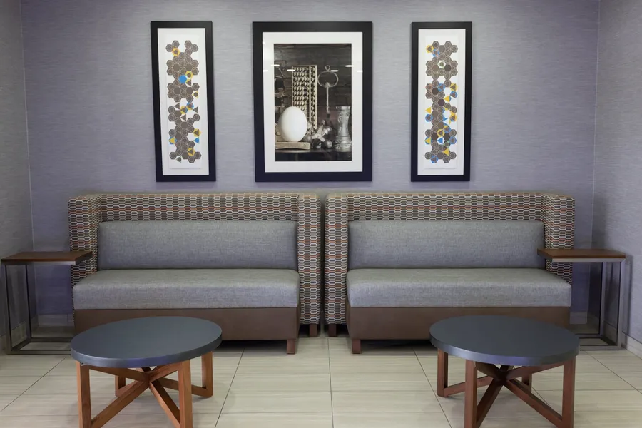 Holiday Inn Express Hotel & Suites Athens by IHG hotel detail image 6