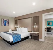 Best Western Plus Greenville I-385 Inn & Suites hotel detail image 4
