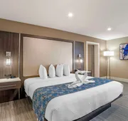 Best Western Plus Greenville I-385 Inn & Suites hotel detail image 5