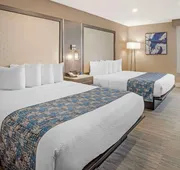 Best Western Plus Greenville I-385 Inn & Suites hotel detail image 7
