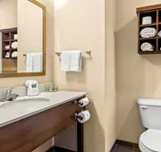 Best Western St. Louis Airport North Hotel & Suites hotel detail image 4