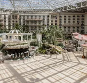 Gaylord Palms Resort & Convention Center hotel detail image 4