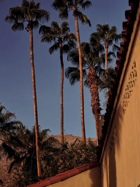 The Willows Palm Springs hotel detail image 2