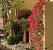The Willows Palm Springs hotel detail image 4