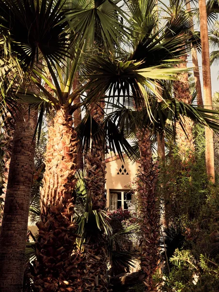 The Willows Palm Springs hotel detail image 6